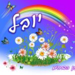 WhatsApp Image 2026-05-04 at 15.44.05