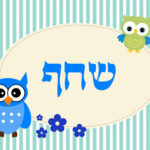 WhatsApp Image 2026-05-04 at 15.44.08 (2)